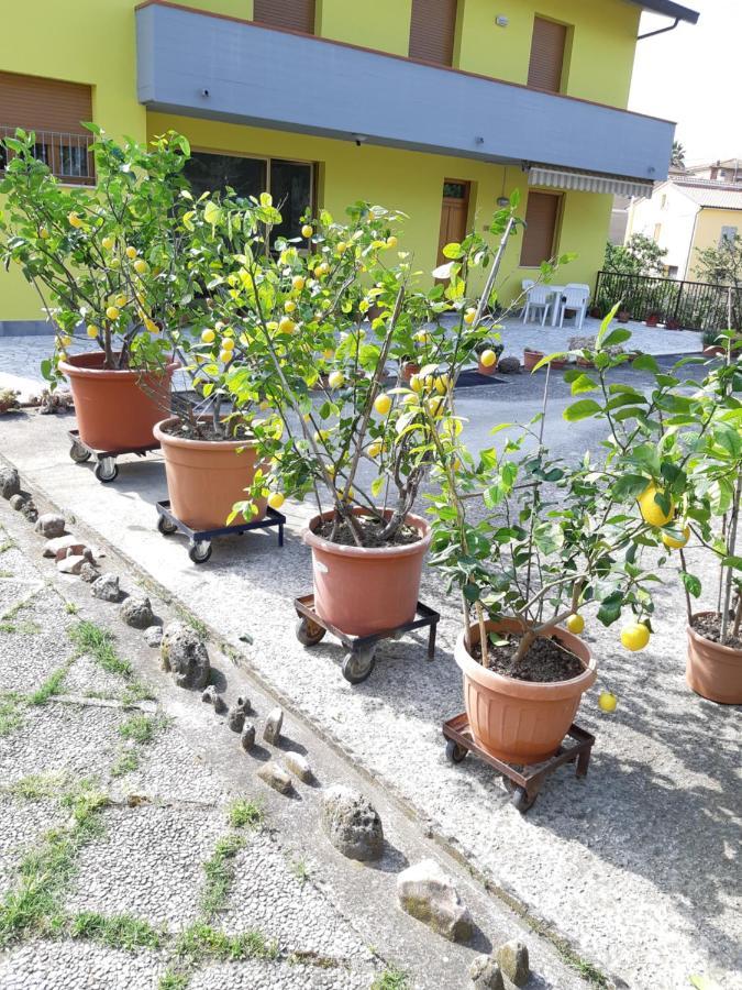 Casa Gli Ulivi Vila Montepulciano Stazione Exterior foto