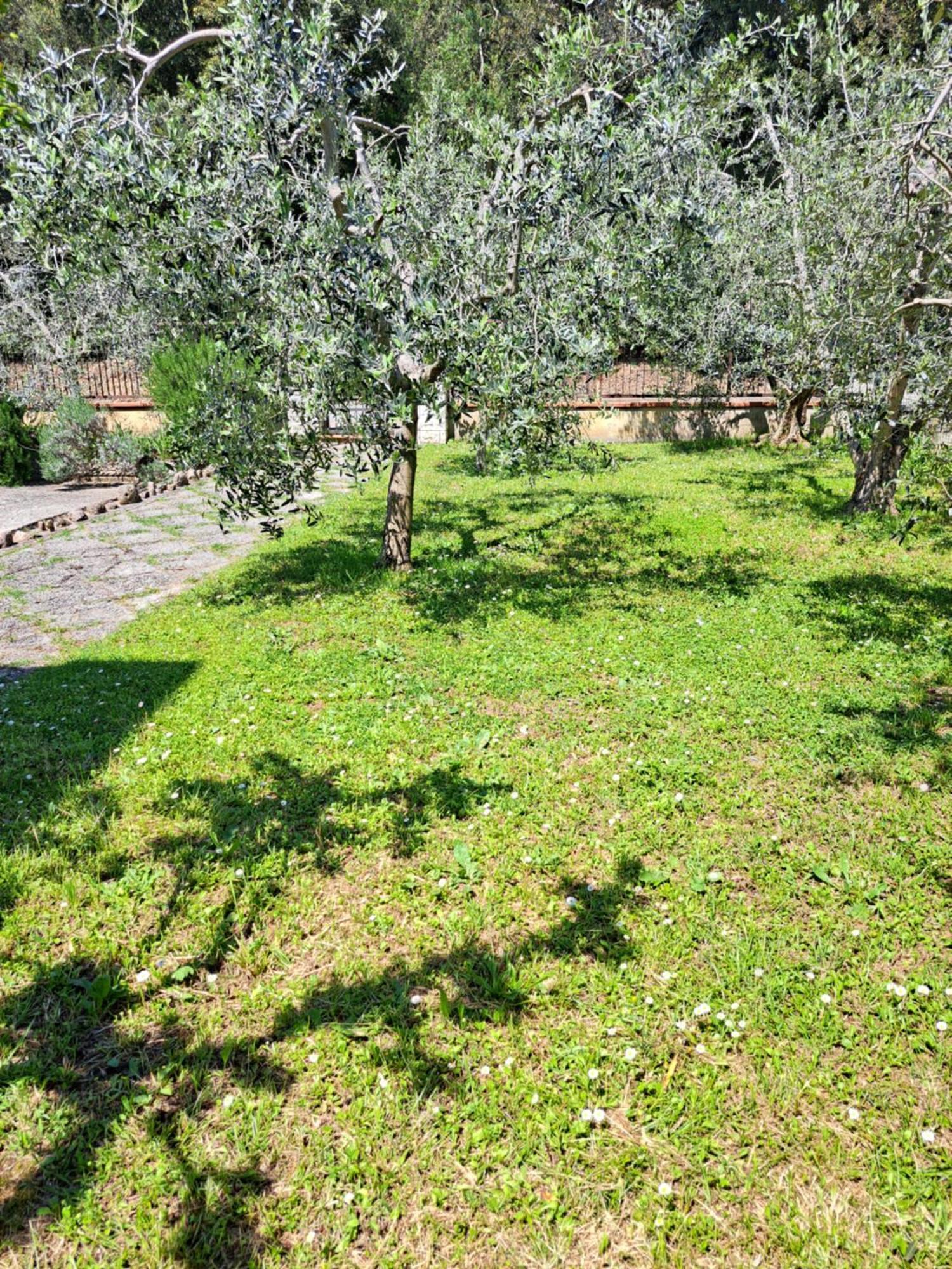 Casa Gli Ulivi Vila Montepulciano Stazione Exterior foto