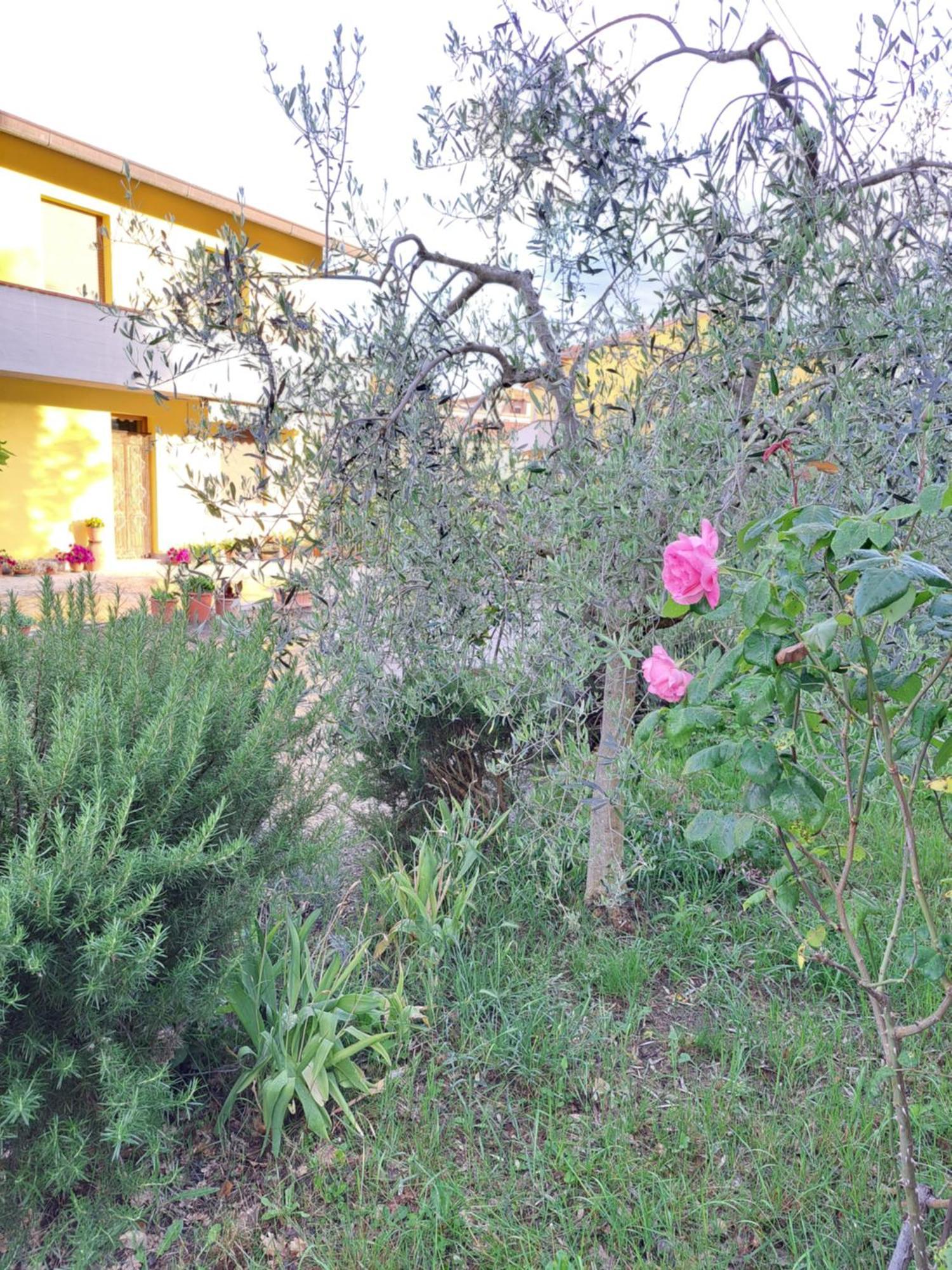 Casa Gli Ulivi Vila Montepulciano Stazione Exterior foto